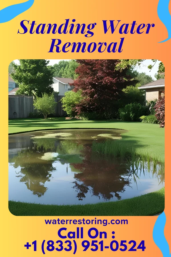Standing Water Removal in Supreme, LA